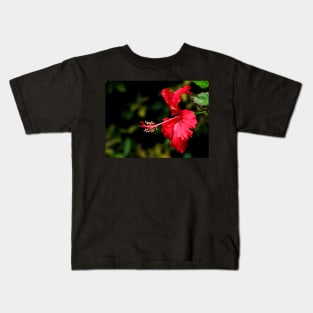 Dancing Red Hibiscus Kids T-Shirt